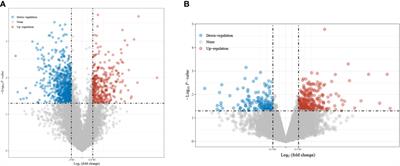 High RPS27A Expression Predicts Poor Prognosis in Patients With HPV Type 16 Cervical Cancer